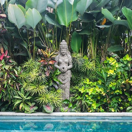 Villa Tirtha Amertha Ubud Экстерьер фото
